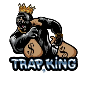 Air Jordan 13 "Brave Blue" 2022 | illCurrency Black T-Shirt (trap king)