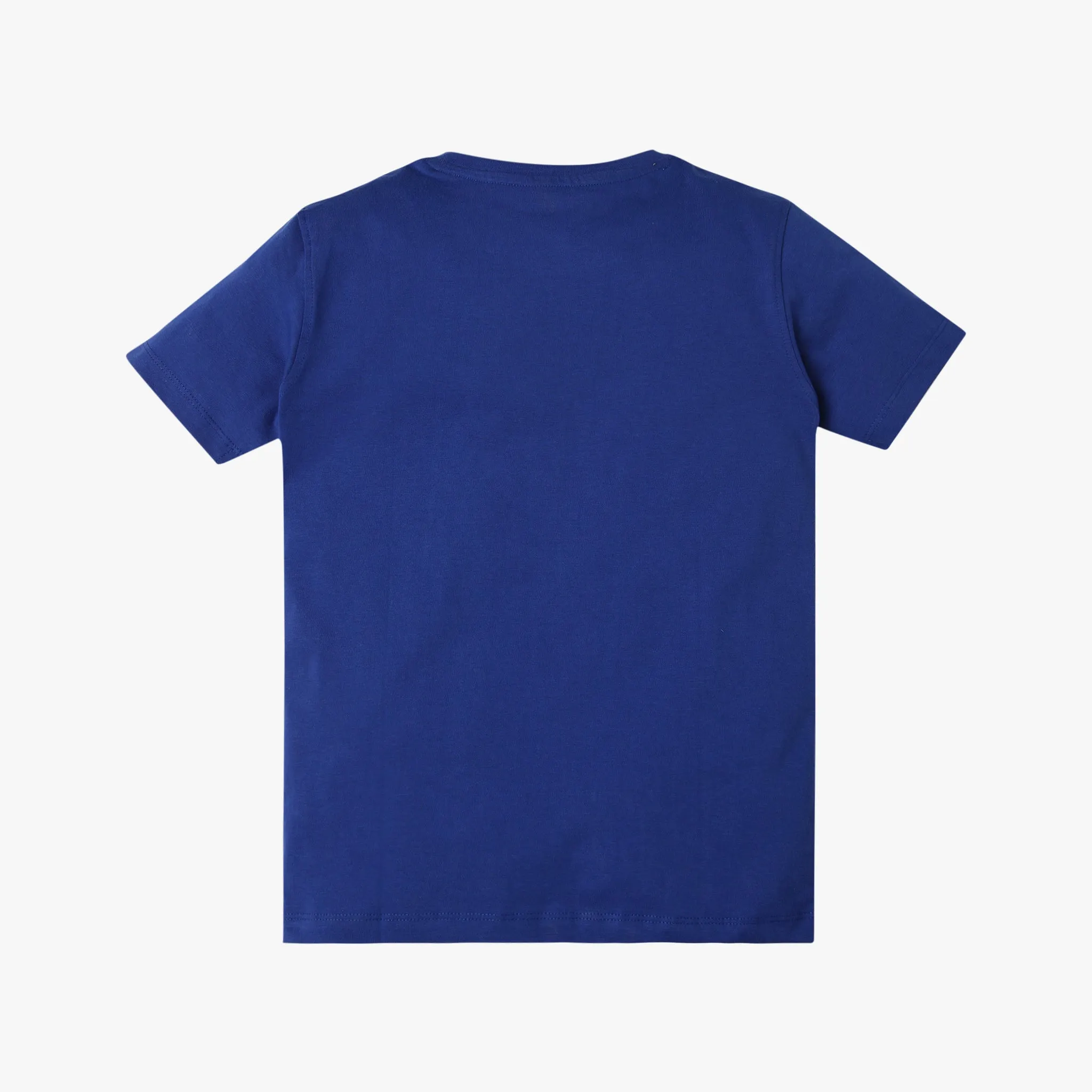 Boy's Regular Fit Graphic T-Shirt