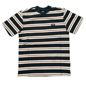 Dickies men's short sleeve t-shirt Lynnwood SS DK0A4XPCAF01 white and blue stripes