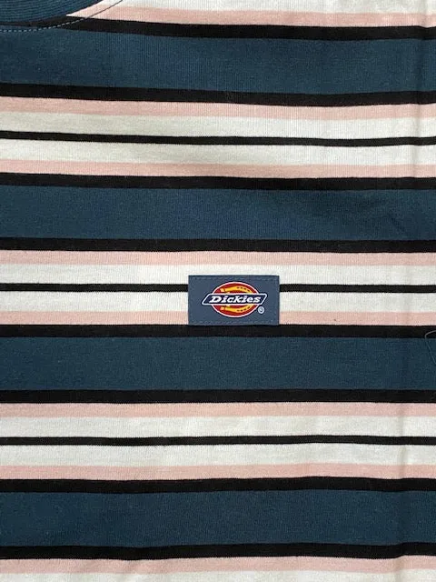 Dickies men's short sleeve t-shirt Lynnwood SS DK0A4XPCAF01 white and blue stripes